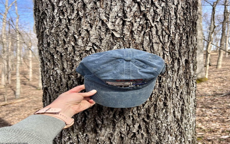 1251 County Highway 40-11 Road, Duck, West Virginia 25063, ,Lots/land,For Sale,County Highway 40-11,10163834 1251 County Highway 40-11 Road, Duck, West Virginia 25063, ,Lots/land,For Sale,County Highway 40-11,10163834