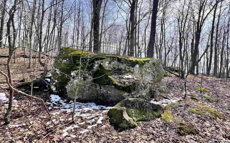 1251 County Highway 40-11 Road, Duck, West Virginia 25063, ,Lots/land,For Sale,County Highway 40-11,10163834 1251 County Highway 40-11 Road, Duck, West Virginia 25063, ,Lots/land,For Sale,County Highway 40-11,10163834