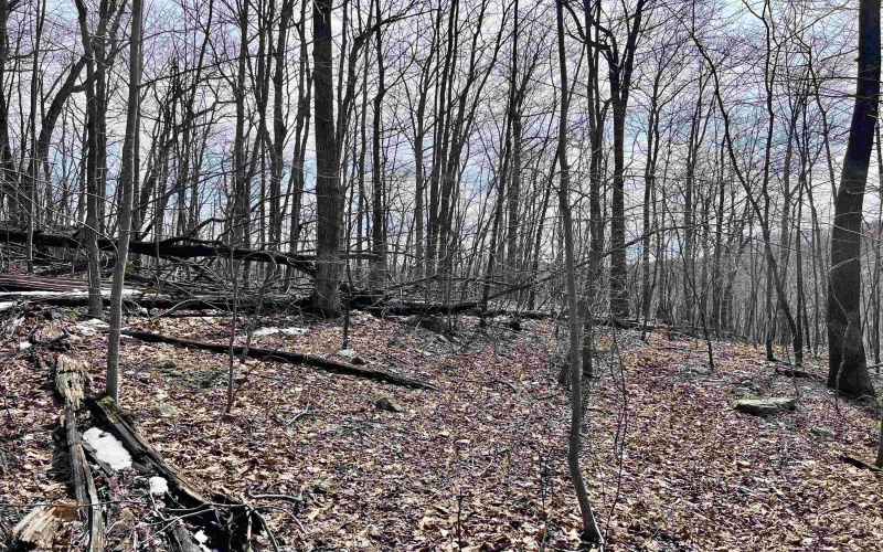 1251 County Highway 40-11 Road, Duck, West Virginia 25063, ,Lots/land,For Sale,County Highway 40-11,10163834 1251 County Highway 40-11 Road, Duck, West Virginia 25063, ,Lots/land,For Sale,County Highway 40-11,10163834