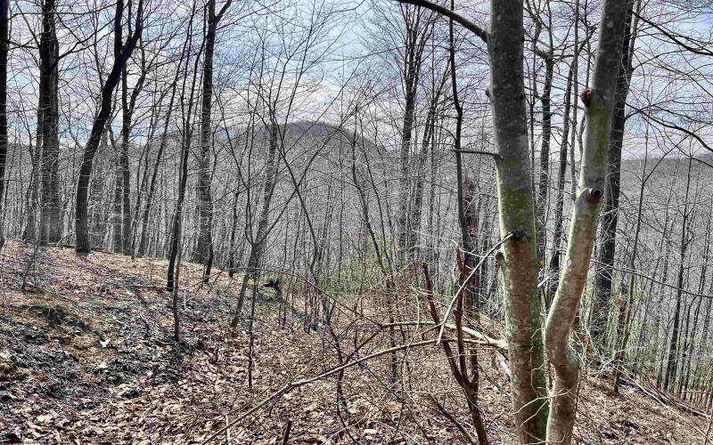 1251 County Highway 40-11 Road, Duck, West Virginia 25063, ,Lots/land,For Sale,County Highway 40-11,10163834 1251 County Highway 40-11 Road, Duck, West Virginia 25063, ,Lots/land,For Sale,County Highway 40-11,10163834