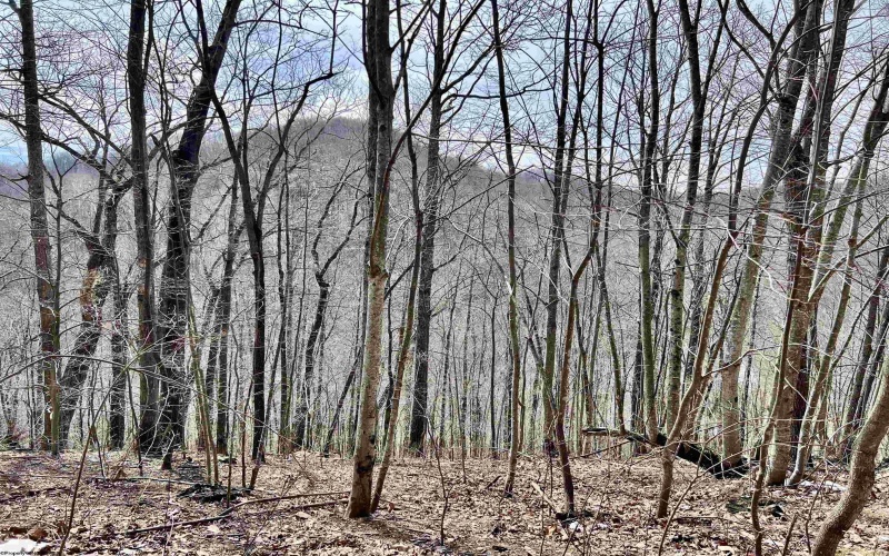 1251 County Highway 40-11 Road, Duck, West Virginia 25063, ,Lots/land,For Sale,County Highway 40-11,10163834 1251 County Highway 40-11 Road, Duck, West Virginia 25063, ,Lots/land,For Sale,County Highway 40-11,10163834