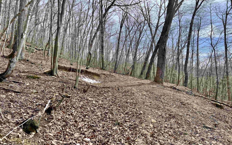 1251 County Highway 40-11 Road, Duck, West Virginia 25063, ,Lots/land,For Sale,County Highway 40-11,10163834 1251 County Highway 40-11 Road, Duck, West Virginia 25063, ,Lots/land,For Sale,County Highway 40-11,10163834