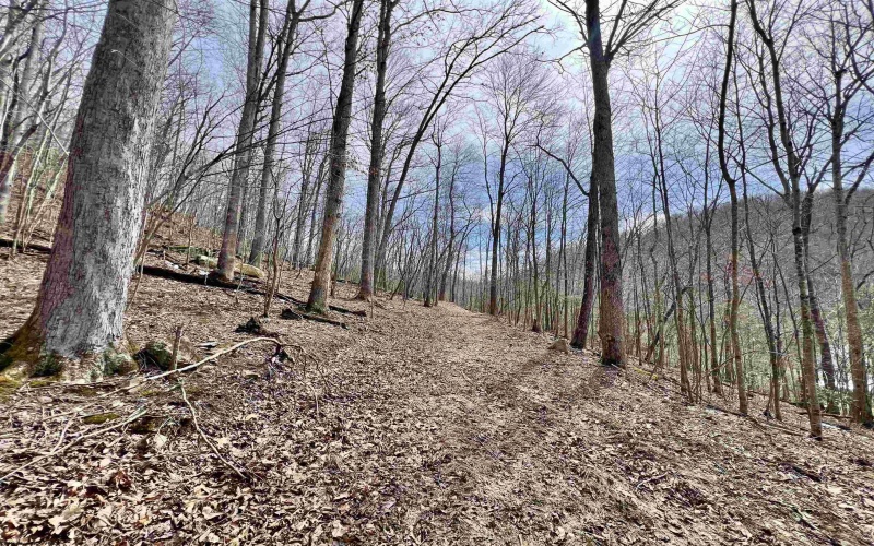 1251 County Highway 40-11 Road, Duck, West Virginia 25063, ,Lots/land,For Sale,County Highway 40-11,10163834 1251 County Highway 40-11 Road, Duck, West Virginia 25063, ,Lots/land,For Sale,County Highway 40-11,10163834