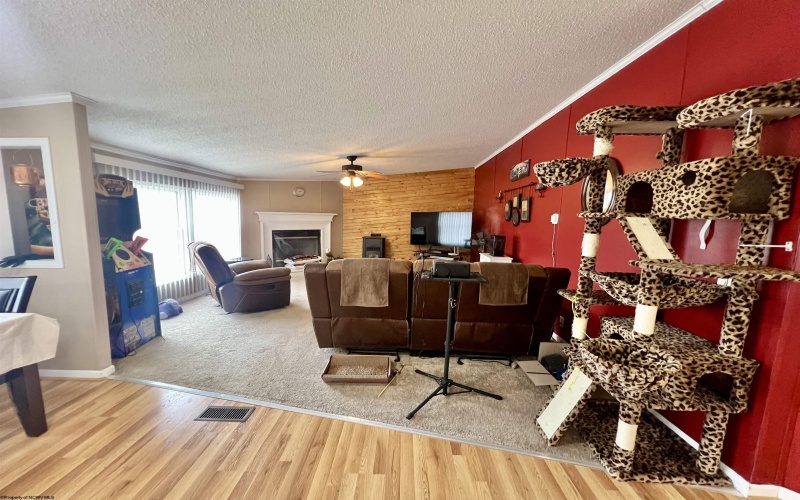 132 Douglas Way, Belington, West Virginia 26250, 3 Bedrooms Bedrooms, 7 Rooms Rooms,2 BathroomsBathrooms,Single Family Detached,For Sale,Douglas,10163835