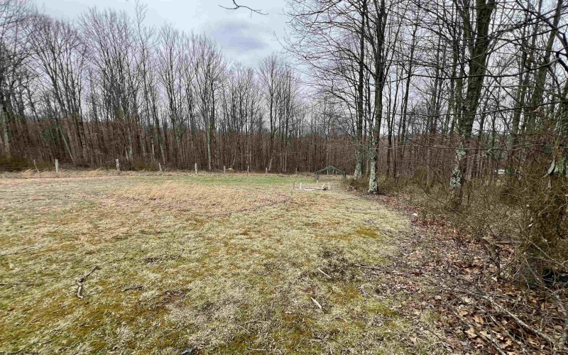 132 Douglas Way, Belington, West Virginia 26250, 3 Bedrooms Bedrooms, 7 Rooms Rooms,2 BathroomsBathrooms,Single Family Detached,For Sale,Douglas,10163835