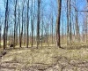 Lot 21 POPLAR Drive, Grafton, West Virginia 26354, ,Lots/land,For Sale,POPLAR,10163840