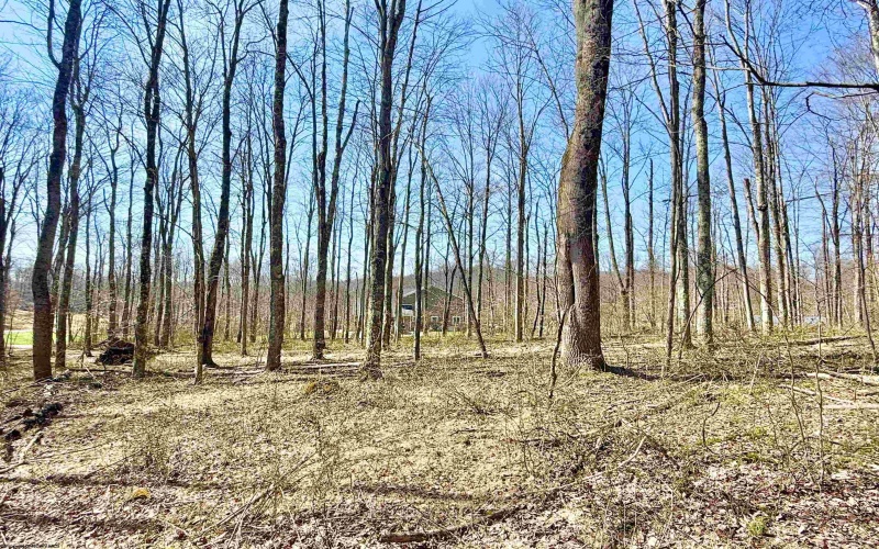 Lot 21 POPLAR Drive, Grafton, West Virginia 26354, ,Lots/land,For Sale,POPLAR,10163840