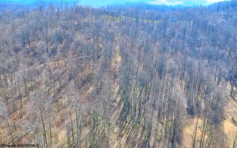 Lot 21 POPLAR Drive, Grafton, West Virginia 26354, ,Lots/land,For Sale,POPLAR,10163840