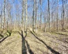 Lot 21 POPLAR Drive, Grafton, West Virginia 26354, ,Lots/land,For Sale,POPLAR,10163840