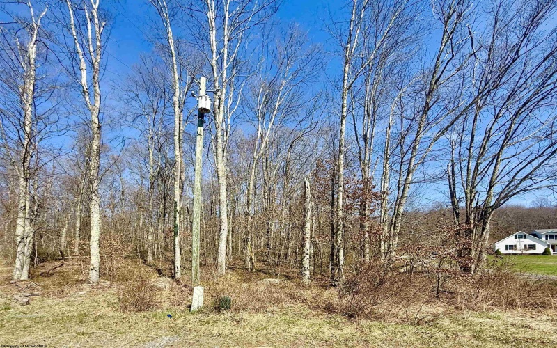 Lot 21 POPLAR Drive, Grafton, West Virginia 26354, ,Lots/land,For Sale,POPLAR,10163840