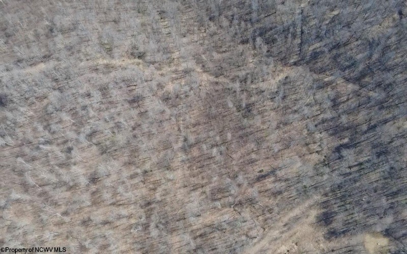 Lot 21 POPLAR Drive, Grafton, West Virginia 26354, ,Lots/land,For Sale,POPLAR,10163840