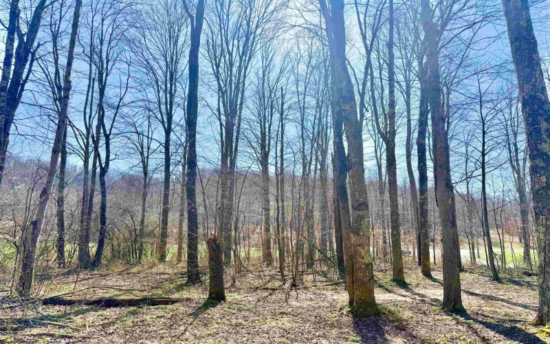 Lot 21 POPLAR Drive, Grafton, West Virginia 26354, ,Lots/land,For Sale,POPLAR,10163840