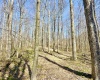 Lot 21 POPLAR Drive, Grafton, West Virginia 26354, ,Lots/land,For Sale,POPLAR,10163840