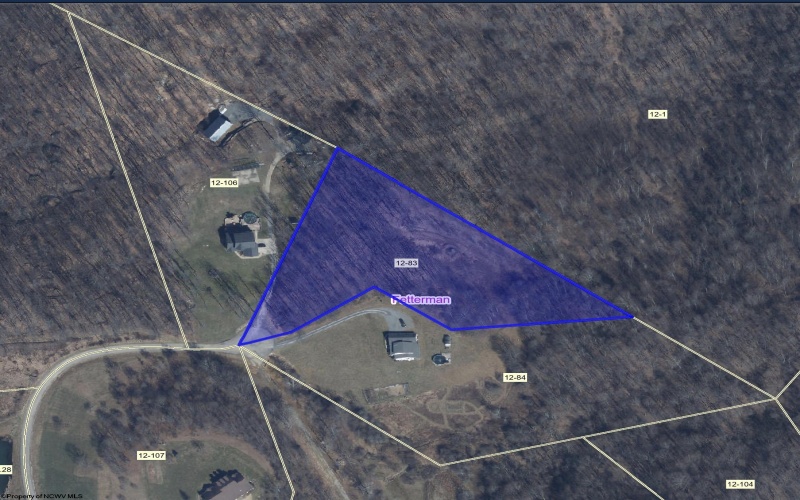 Lot 21 POPLAR Drive, Grafton, West Virginia 26354, ,Lots/land,For Sale,POPLAR,10163840
