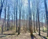 Lot 21 POPLAR Drive, Grafton, West Virginia 26354, ,Lots/land,For Sale,POPLAR,10163840