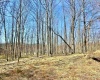 Lot 21 POPLAR Drive, Grafton, West Virginia 26354, ,Lots/land,For Sale,POPLAR,10163840