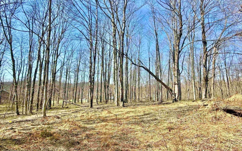 Lot 21 POPLAR Drive, Grafton, West Virginia 26354, ,Lots/land,For Sale,POPLAR,10163840