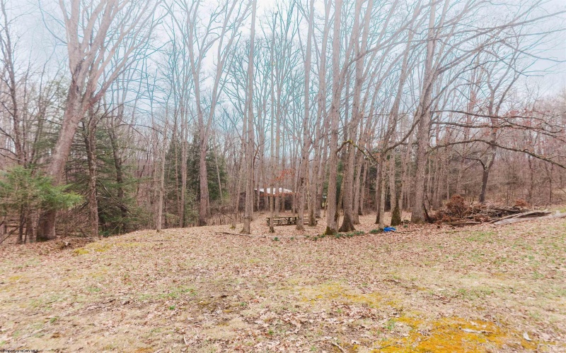 13650 Preston Highway, Bruceton Mills, West Virginia 26525, 3 Bedrooms Bedrooms, 9 Rooms Rooms,1 BathroomBathrooms,Single Family Detached,For Sale,Preston,10163848 13650 Preston Highway, Bruceton Mills, West Virginia 26525, 3 Bedrooms Bedrooms, 9 Rooms Rooms,1 BathroomBathrooms,Single Family Detached,For Sale,Preston,10163848