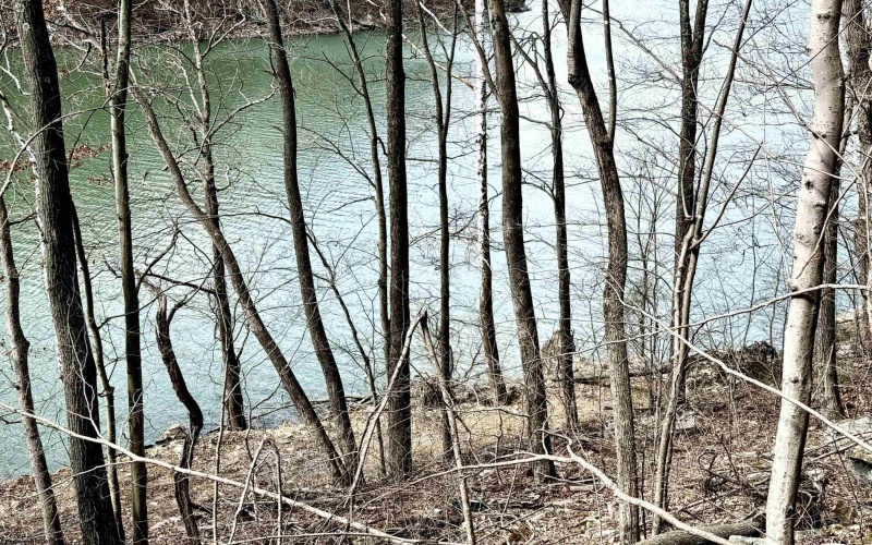 Lot 7 Brooklyn Way, Moatsville, West Virginia 26405, ,Lots/land,For Sale,Brooklyn,10163866