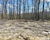 Lot 6 Brooklyn Way, Moatsville, West Virginia 26405, ,Lots/land,For Sale,Brooklyn,10163863