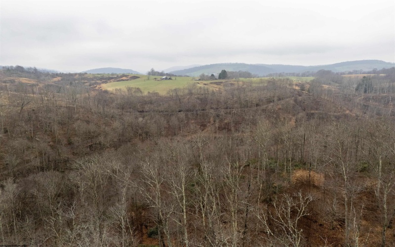 Lot 1 Red Rock Road, Rowlesburg, West Virginia 26425, ,Lots/land,For Sale,Red Rock,10163859 Lot 1 Red Rock Road, Rowlesburg, West Virginia 26425, ,Lots/land,For Sale,Red Rock,10163859