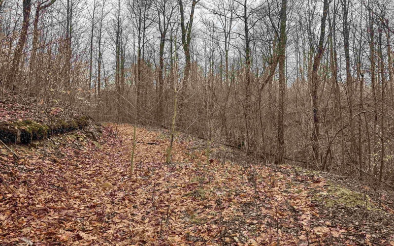 Lot 1 Red Rock Road, Rowlesburg, West Virginia 26425, ,Lots/land,For Sale,Red Rock,10163859 Lot 1 Red Rock Road, Rowlesburg, West Virginia 26425, ,Lots/land,For Sale,Red Rock,10163859