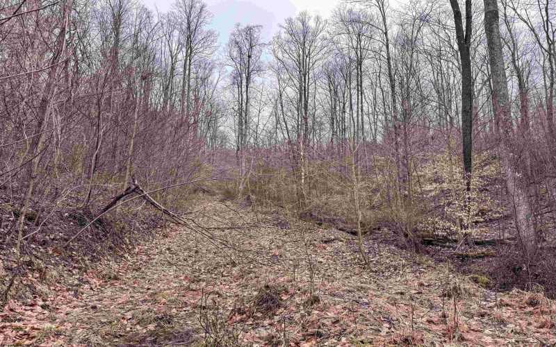 Lot 1 Red Rock Road, Rowlesburg, West Virginia 26425, ,Lots/land,For Sale,Red Rock,10163859 Lot 1 Red Rock Road, Rowlesburg, West Virginia 26425, ,Lots/land,For Sale,Red Rock,10163859