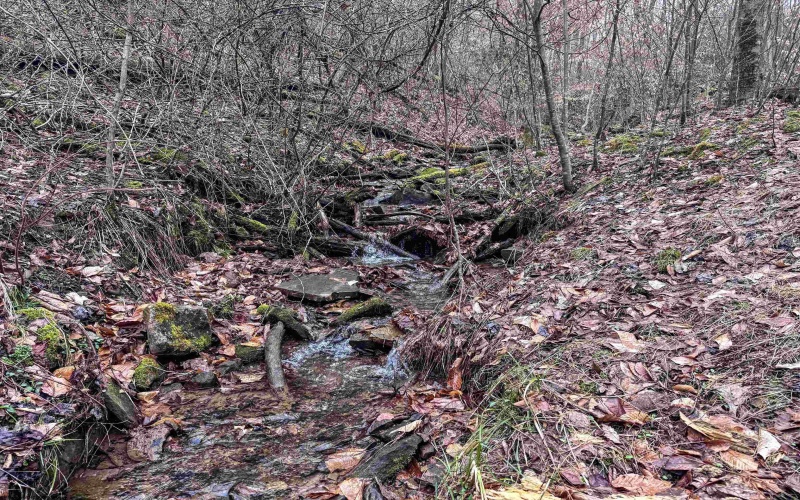 Lot 1 Red Rock Road, Rowlesburg, West Virginia 26425, ,Lots/land,For Sale,Red Rock,10163859 Lot 1 Red Rock Road, Rowlesburg, West Virginia 26425, ,Lots/land,For Sale,Red Rock,10163859