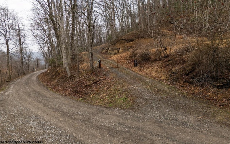 Lot 1 Red Rock Road, Rowlesburg, West Virginia 26425, ,Lots/land,For Sale,Red Rock,10163859 Lot 1 Red Rock Road, Rowlesburg, West Virginia 26425, ,Lots/land,For Sale,Red Rock,10163859
