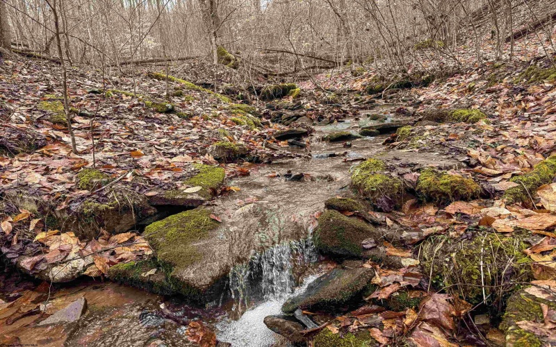 Lot 1 Red Rock Road, Rowlesburg, West Virginia 26425, ,Lots/land,For Sale,Red Rock,10163859 Lot 1 Red Rock Road, Rowlesburg, West Virginia 26425, ,Lots/land,For Sale,Red Rock,10163859