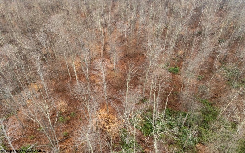 Lot 1 Red Rock Road, Rowlesburg, West Virginia 26425, ,Lots/land,For Sale,Red Rock,10163859 Lot 1 Red Rock Road, Rowlesburg, West Virginia 26425, ,Lots/land,For Sale,Red Rock,10163859