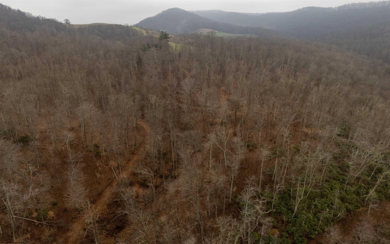 Lot 1 Red Rock Road, Rowlesburg, West Virginia 26425, ,Lots/land,For Sale,Red Rock,10163859 Lot 1 Red Rock Road, Rowlesburg, West Virginia 26425, ,Lots/land,For Sale,Red Rock,10163859