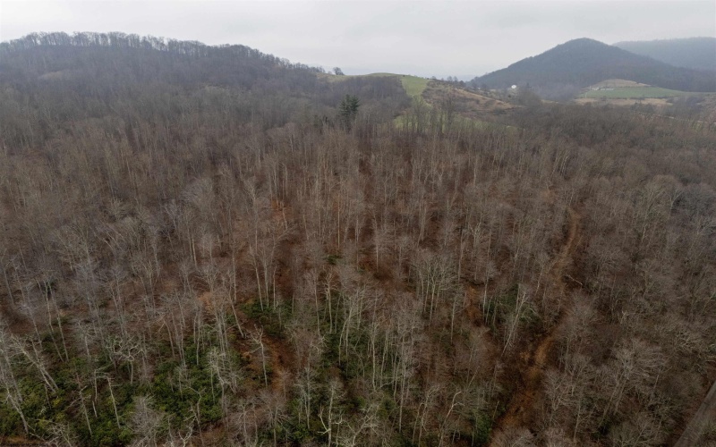 Lot 1 Red Rock Road, Rowlesburg, West Virginia 26425, ,Lots/land,For Sale,Red Rock,10163859 Lot 1 Red Rock Road, Rowlesburg, West Virginia 26425, ,Lots/land,For Sale,Red Rock,10163859