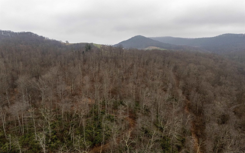 Lot 1 Red Rock Road, Rowlesburg, West Virginia 26425, ,Lots/land,For Sale,Red Rock,10163859 Lot 1 Red Rock Road, Rowlesburg, West Virginia 26425, ,Lots/land,For Sale,Red Rock,10163859