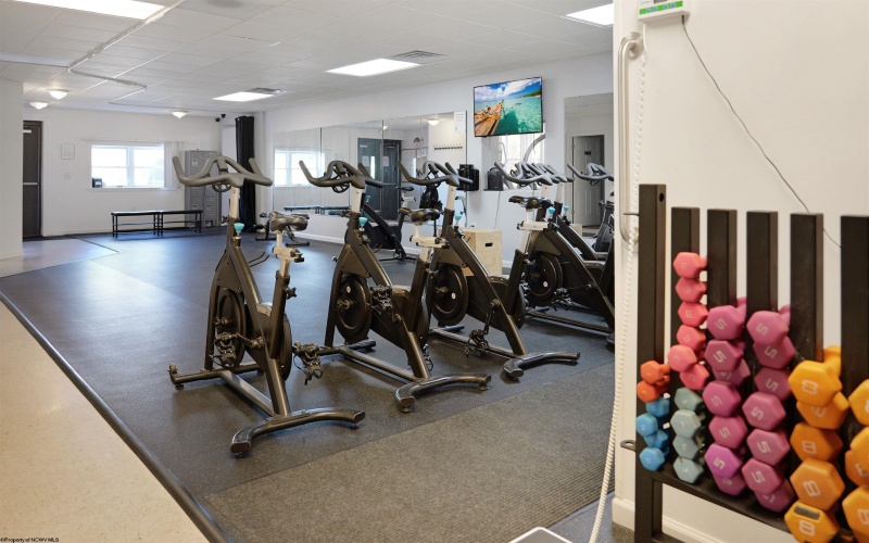 427 Morgantown Street, Kingwood, West Virginia 26537, 1 Bedroom Bedrooms, 3 Rooms Rooms,Single Family Detached,For Sale,Morgantown,10163864