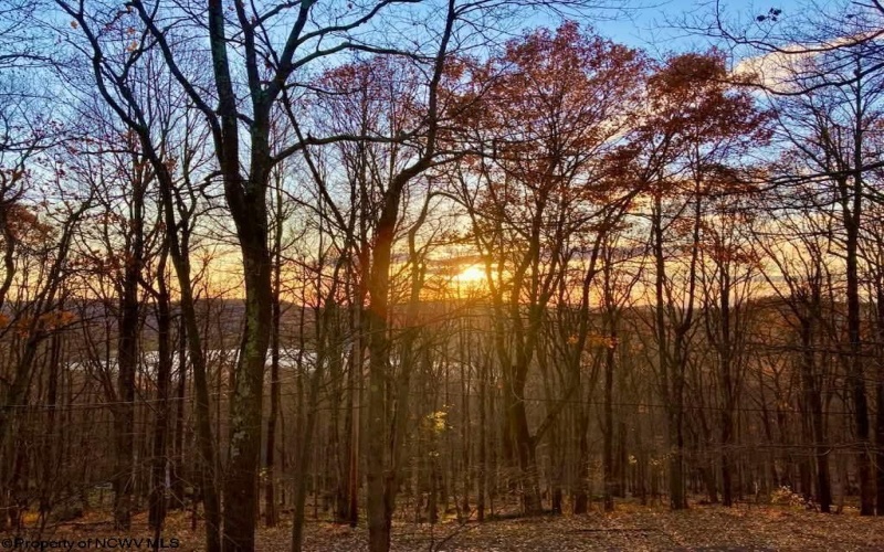 264 Daisy Drive, Terra Alta, West Virginia 26764, 3 Bedrooms Bedrooms, 6 Rooms Rooms,2 BathroomsBathrooms,Single Family Detached,For Sale,Daisy,10163869