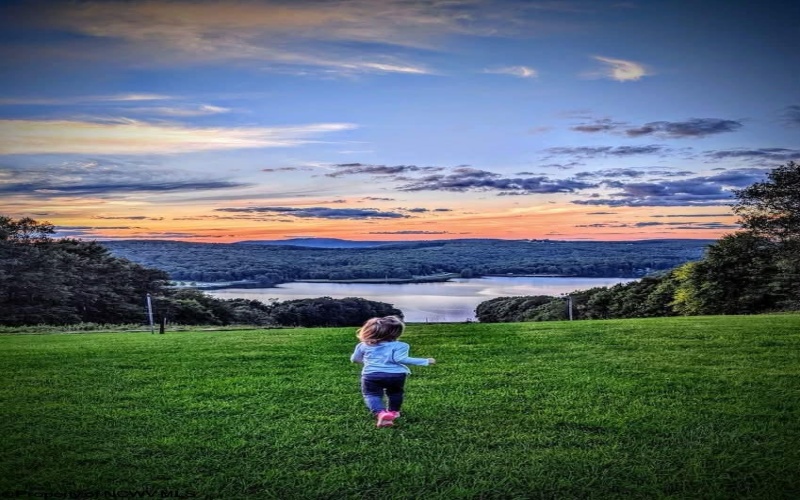 264 Daisy Drive, Terra Alta, West Virginia 26764, 3 Bedrooms Bedrooms, 6 Rooms Rooms,2 BathroomsBathrooms,Single Family Detached,For Sale,Daisy,10163869