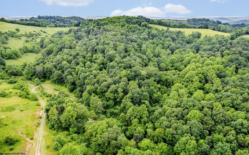 TBD Daybrook Road, Fairview, West Virginia 26570, ,Lots/land,For Sale,Daybrook,10163875 TBD Daybrook Road, Fairview, West Virginia 26570, ,Lots/land,For Sale,Daybrook,10163875