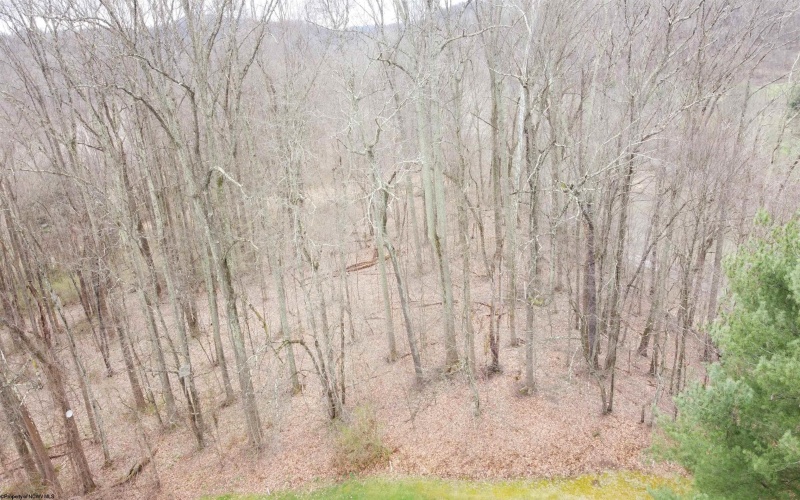 00 Trolley Car Road, Clarksburg, West Virginia 26301, ,Lots/land,For Sale,Trolley Car,10163883 00 Trolley Car Road, Clarksburg, West Virginia 26301, ,Lots/land,For Sale,Trolley Car,10163883