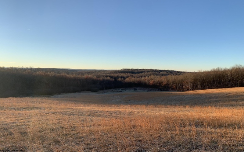 111 Briar Ridge Lane, Ellamore, West Virginia 26267, ,Lots/land,For Sale,Briar Ridge,10160979