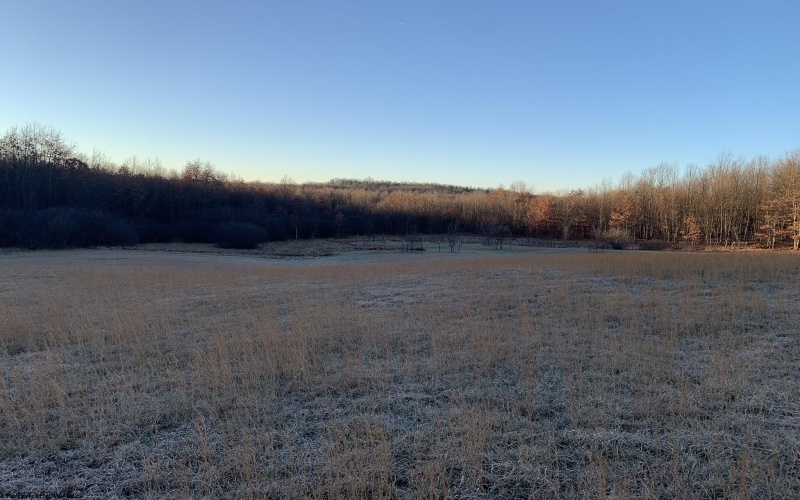 111 Briar Ridge Lane, Ellamore, West Virginia 26267, ,Lots/land,For Sale,Briar Ridge,10160979