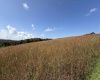 111 Briar Ridge Lane, Ellamore, West Virginia 26267, 0 , 0 ,0,Lots/land,For Sale,Briar Ridge,0,10160979