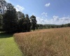 111 Briar Ridge Lane, Ellamore, West Virginia 26267, 0 , 0 ,0,Lots/land,For Sale,Briar Ridge,0,10160979