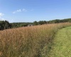 111 Briar Ridge Lane, Ellamore, West Virginia 26267, 0 , 0 ,0,Lots/land,For Sale,Briar Ridge,0,10160979