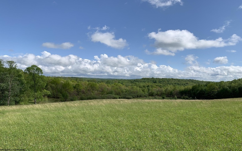 111 Briar Ridge Lane, Ellamore, West Virginia 26267, ,Lots/land,For Sale,Briar Ridge,10160979