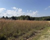 111 Briar Ridge Lane, Ellamore, West Virginia 26267, 0 , 0 ,0,Lots/land,For Sale,Briar Ridge,0,10160979