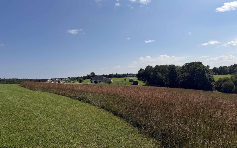 111 Briar Ridge Lane, Ellamore, West Virginia 26267, 0 , 0 ,0,Lots/land,For Sale,Briar Ridge,0,10160979