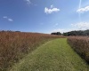 111 Briar Ridge Lane, Ellamore, West Virginia 26267, 0 , 0 ,0,Lots/land,For Sale,Briar Ridge,0,10160979
