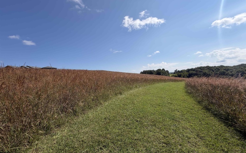 111 Briar Ridge Lane, Ellamore, West Virginia 26267, 0 , 0 ,0,Lots/land,For Sale,Briar Ridge,0,10160979