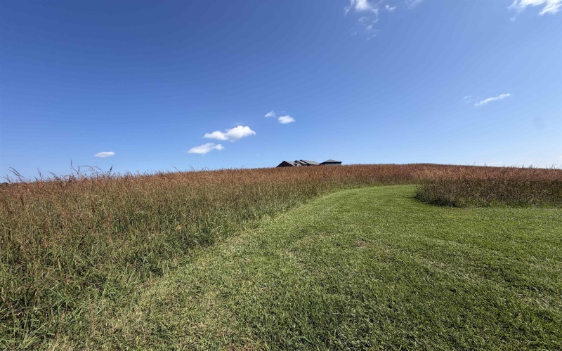 111 Briar Ridge Lane, Ellamore, West Virginia 26267, 0 , 0 ,0,Lots/land,For Sale,Briar Ridge,0,10160979